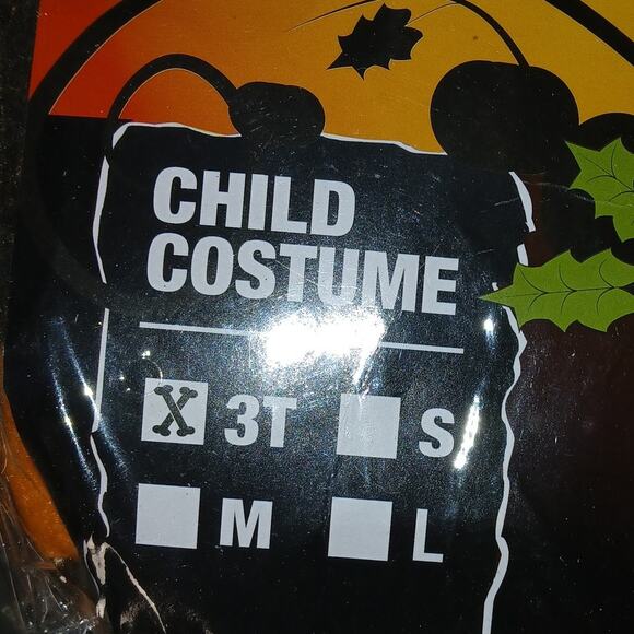 NWT Pumpkin Costume Size 3T - Picture 5 of 5